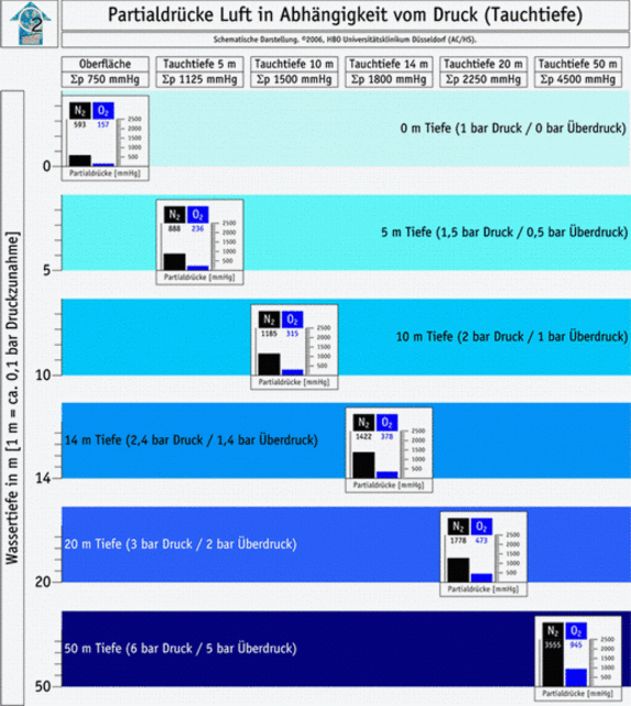 Partialdrücke Luft in Abhängigkeit vom Druck